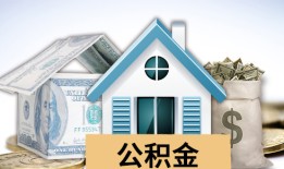 详解芝麻信用贷款全攻略：如何高效申请与使用
