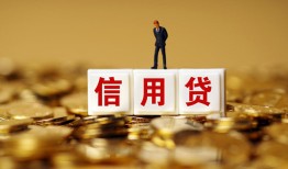 成都24哪有个人借贷-成都24小额贷款公司-成都24私借空放免费上门